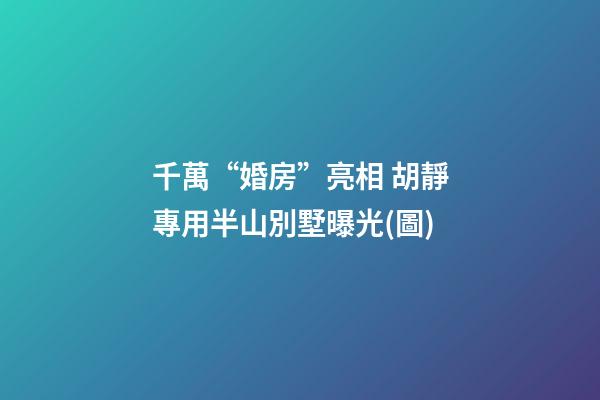 千萬“婚房”亮相 胡靜專用半山別墅曝光(圖)